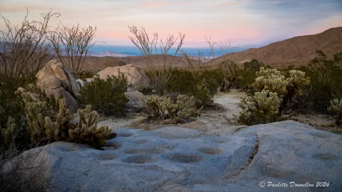 Desert landscape at dusk with pale blue and pink sky. Foreground features large, smooth rocks with deep round depressions, surrounded by cacti and sparse bushes. Rocky hills and distant mountains are visible under soft evening light.