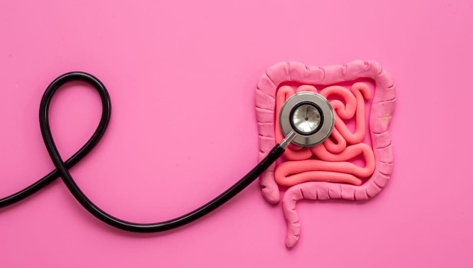A stethoscope rests on a model of human intestines made from pink clay, set against a bright pink background. The stethoscope’s tubing curves leftward, while its chest piece is placed on the clay intestines, suggesting a checkup or medical exam.